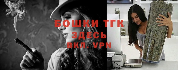 ГАЛЛЮЦИНОГЕННЫЕ ГРИБЫ Михайлов