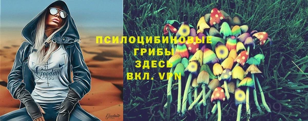 винт Алексеевка