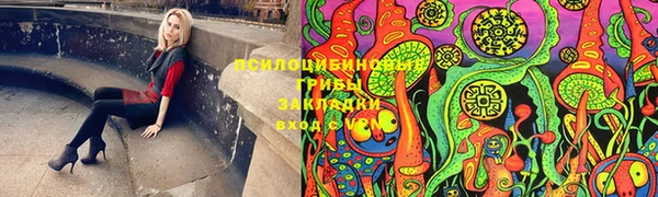 СК Аркадак