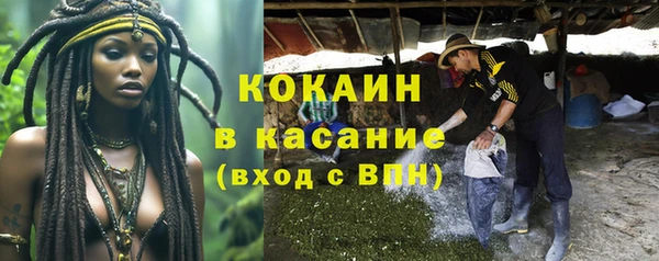 шишки Алексин
