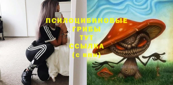 СК Аркадак