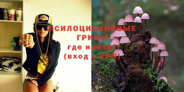 PSILOCYBIN Красноперекопск