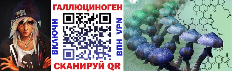 Галлюциногенные грибы GOLDEN TEACHER  MEGA tor  Алапаевск 