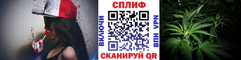 Бошки марихуана сатива  Алапаевск 